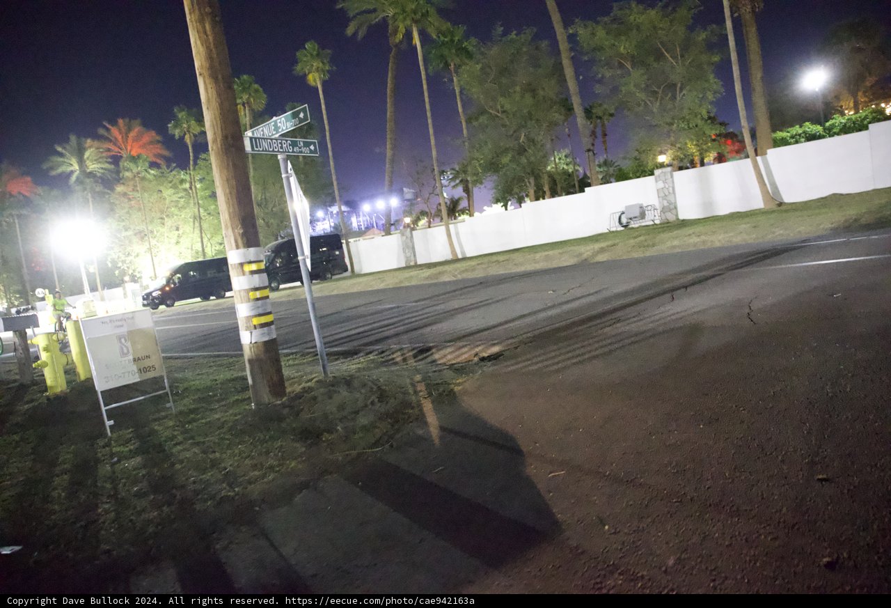 Midnight Oasis: Urban Streets Meet Nature at Coachella 2024