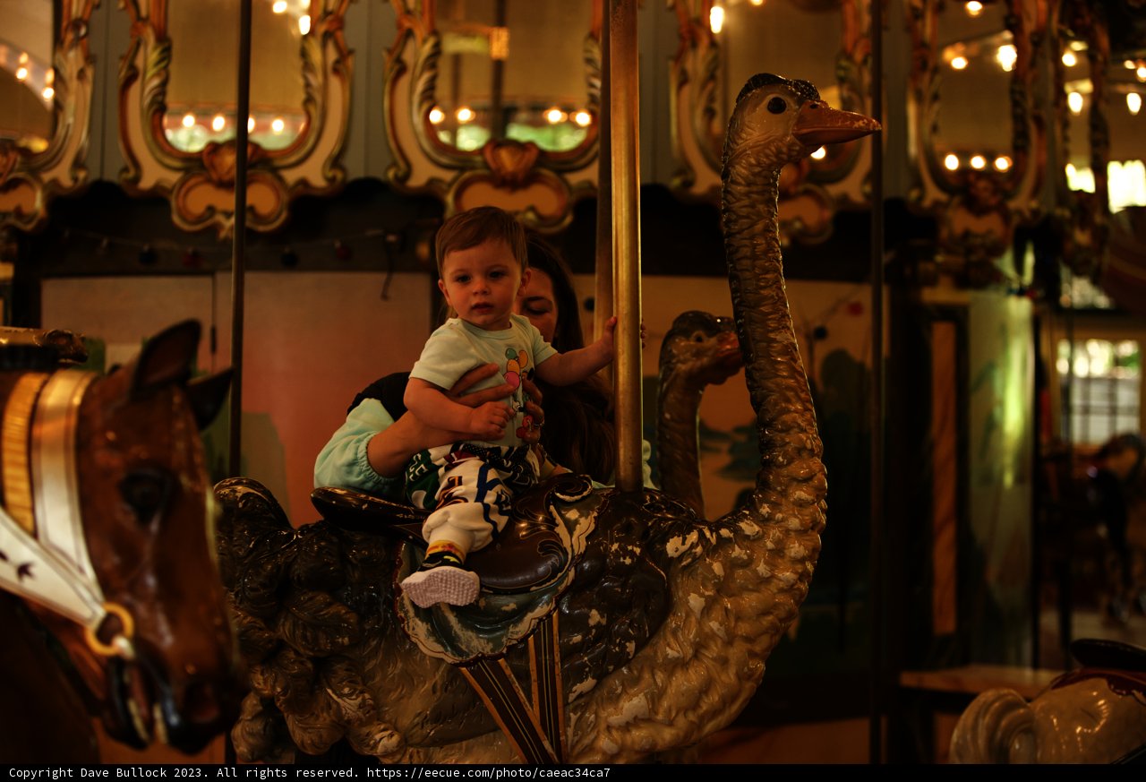 A Magical Spin: Mother and Child Carousel Ride at SF Zoo