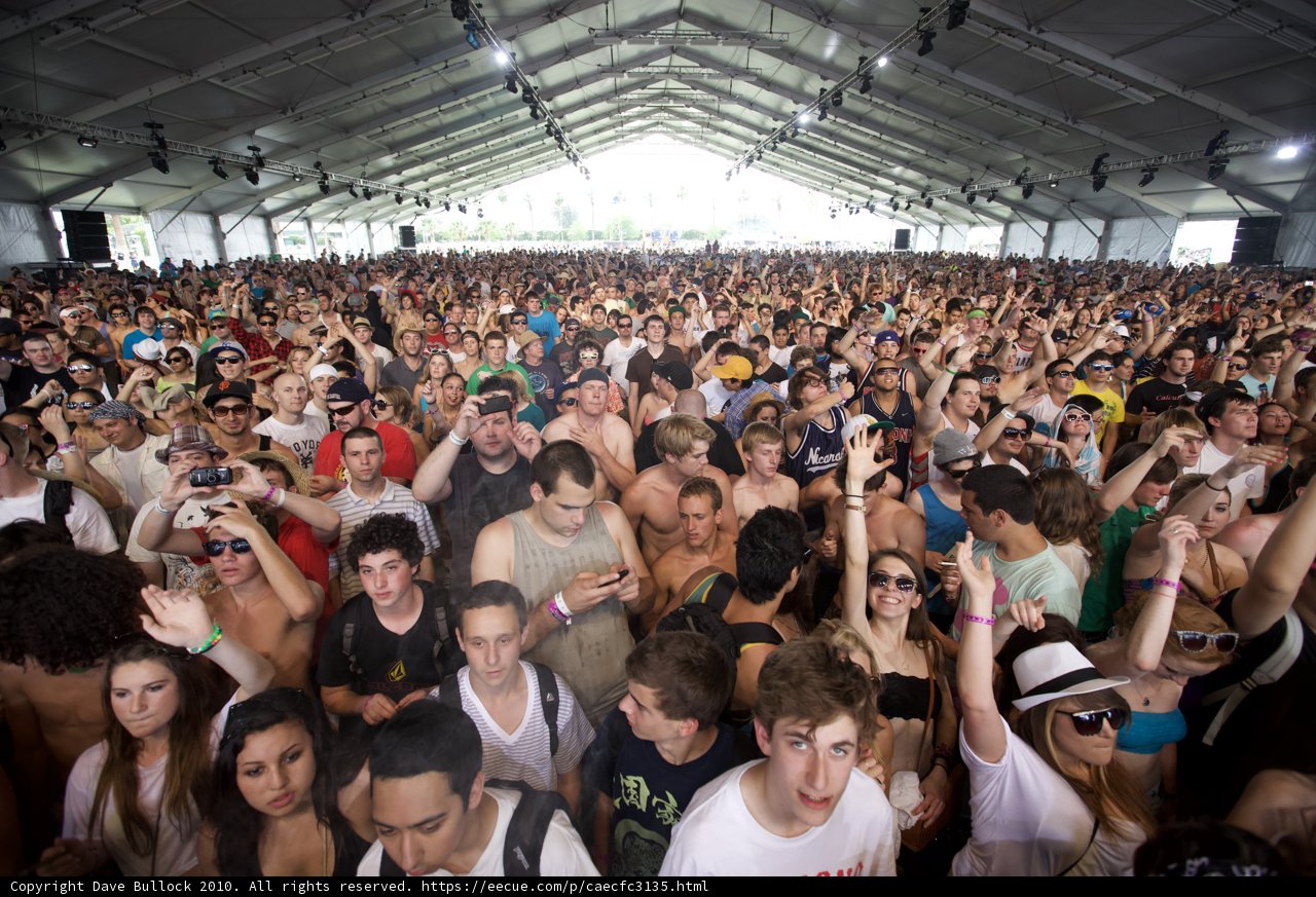 Coachella Music Festival Crowd