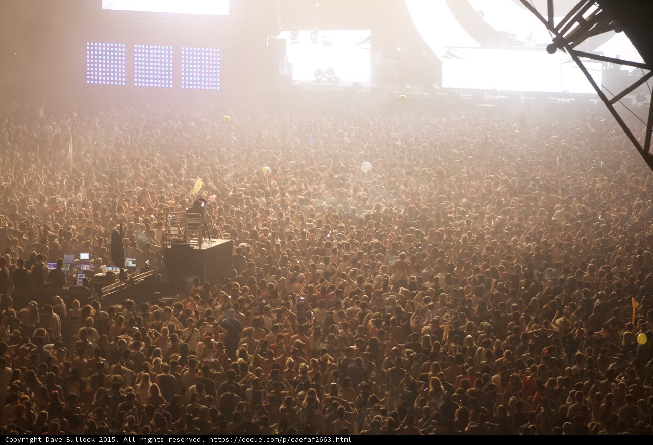 Rocking with the Crowd