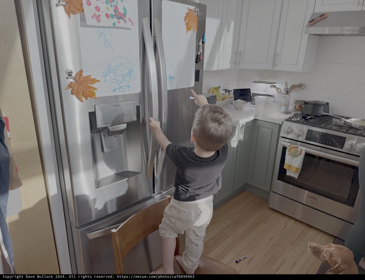 Toddler Exploring Kitchen Refrigerator at Home