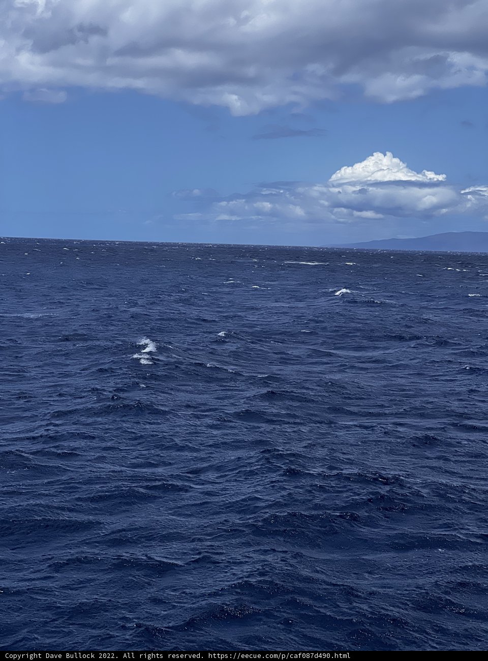 Serene Ocean Horizon