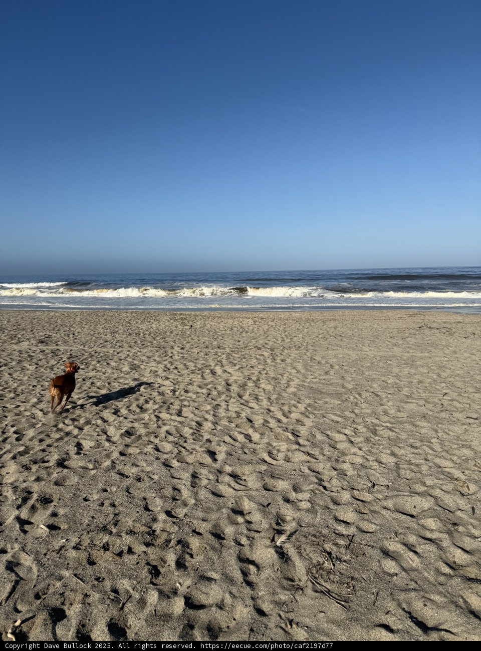 Embracing the Ocean Breeze
