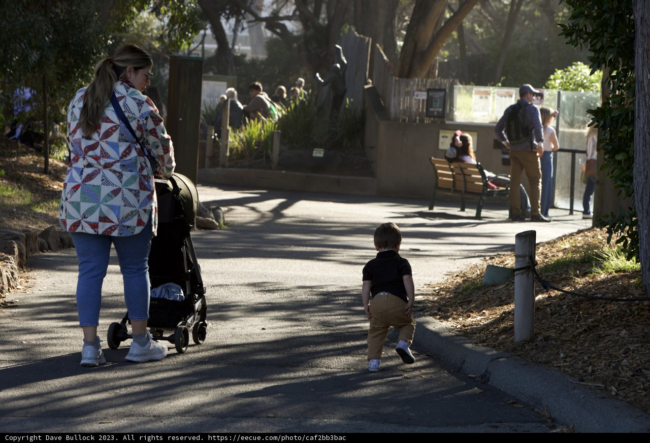 A Day Out at the Zoo