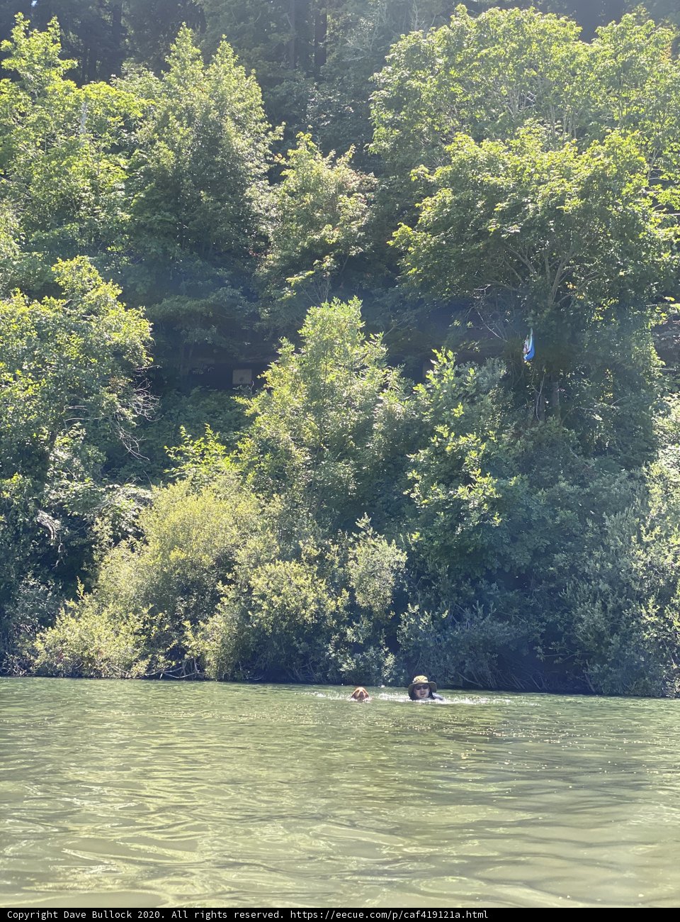 Floating in Nature's Embrace
