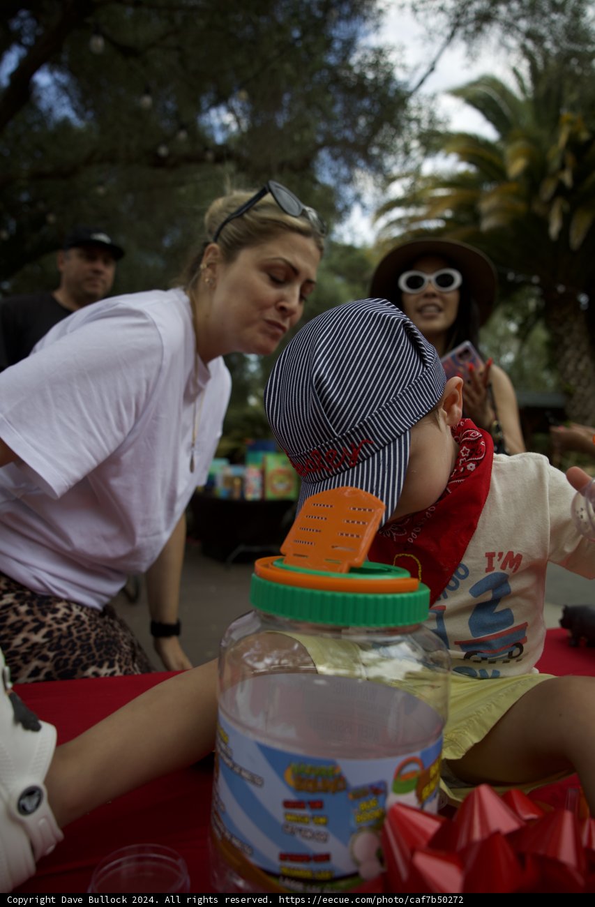 Wesley's Joyful Second Birthday Bash