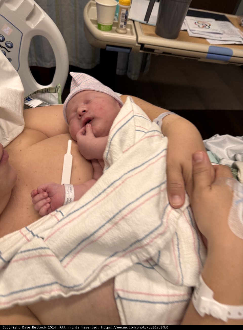 Welcome to the World, Leland