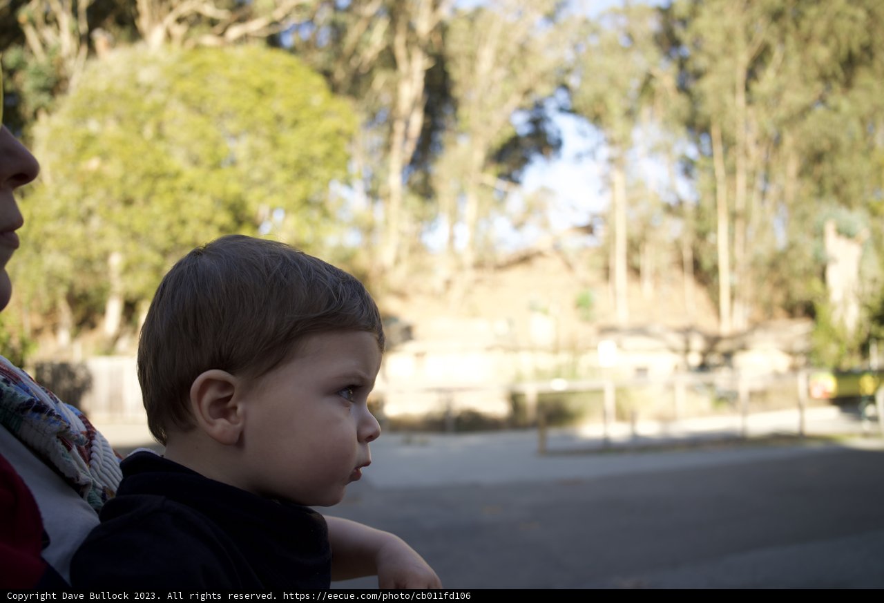 Motherhood Moment at SF Zoo