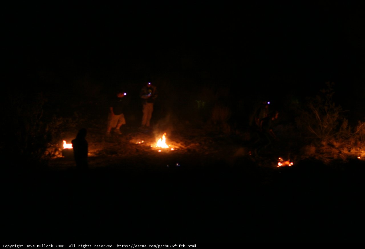 Nighttime Bonfire Gathering