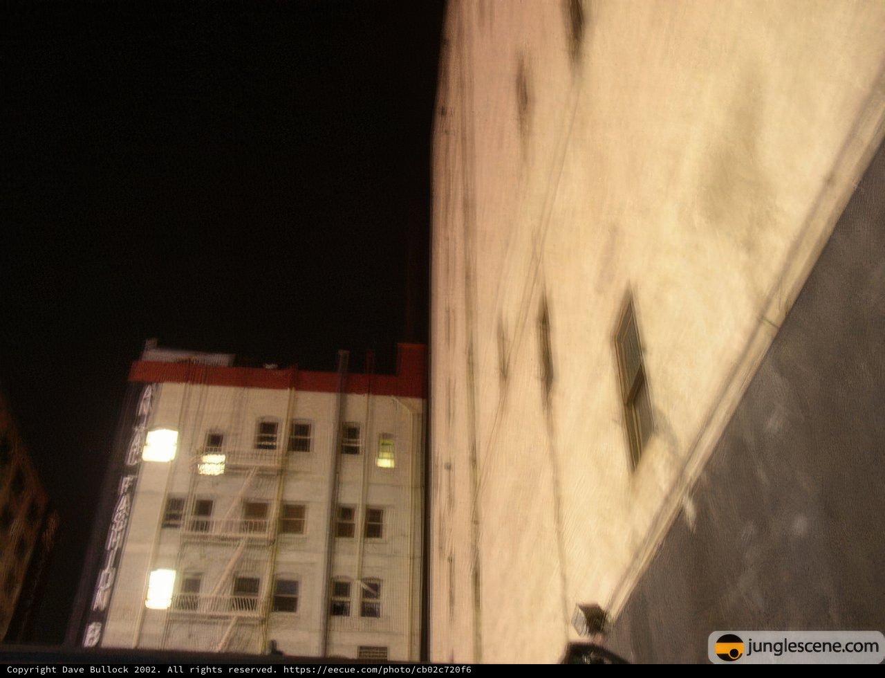 Late Night in the Urban Jungle