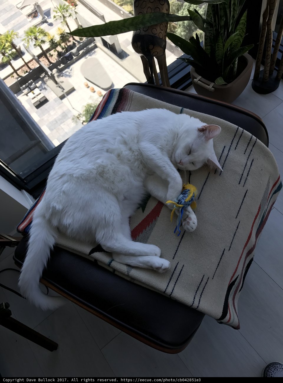 Relaxing with Kitty
