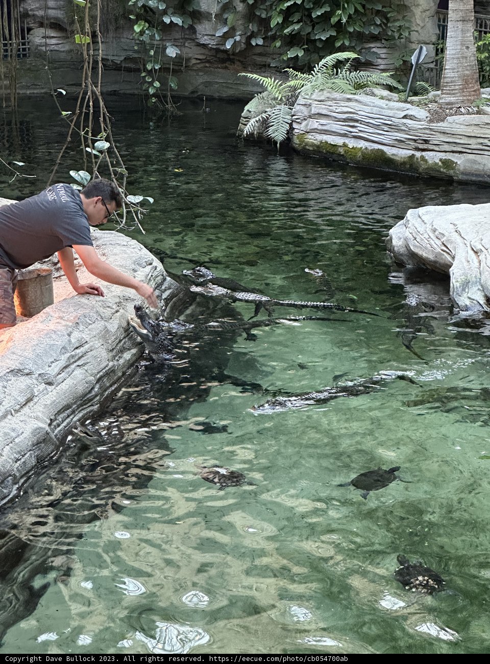 A Unique Culinary Adventure in the Pond