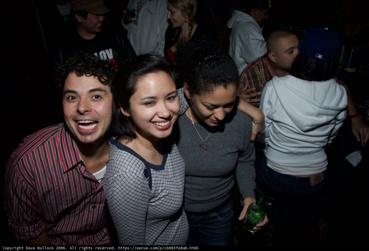 Nightclub Crowd