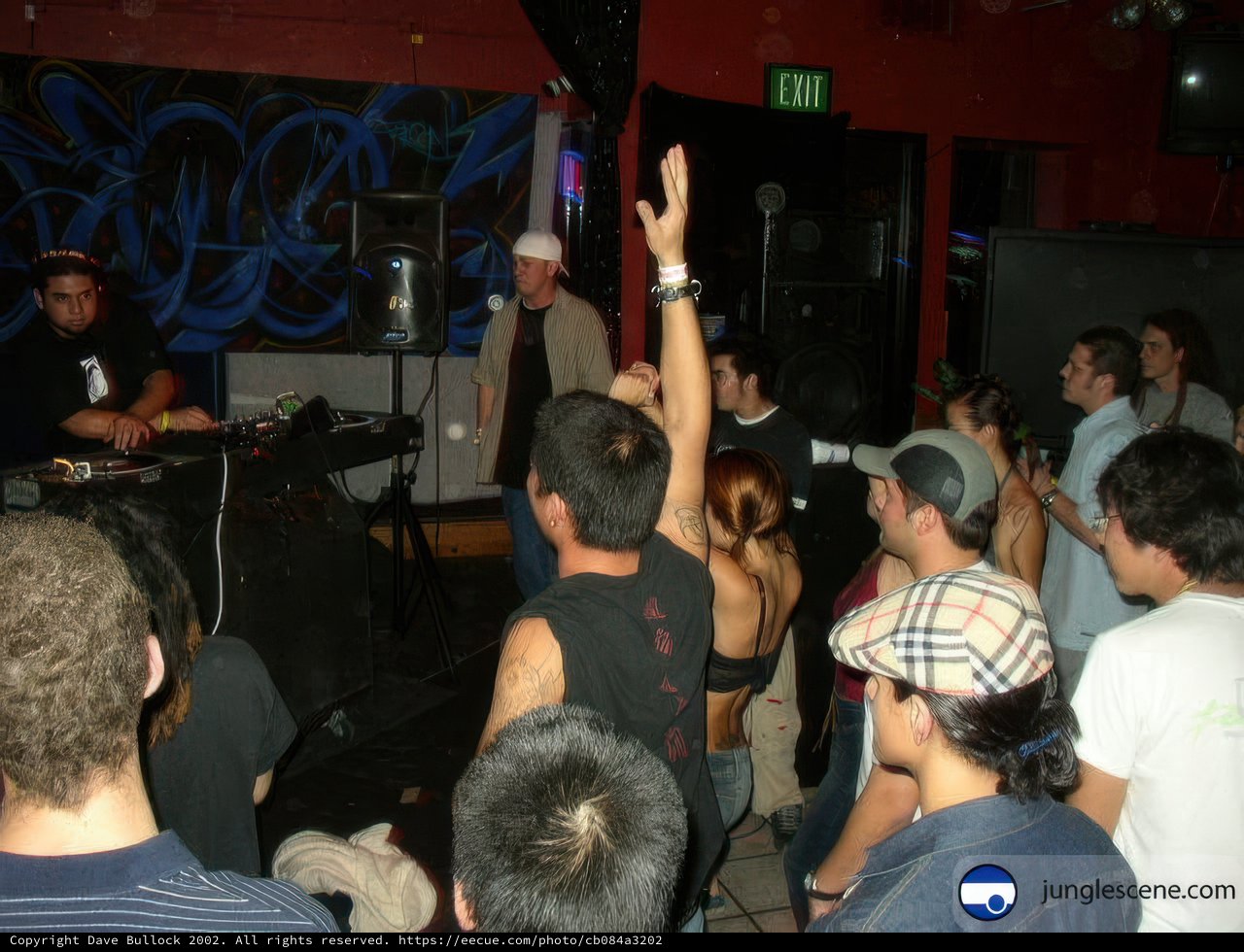 Nightclub Party with DJ and Crowd