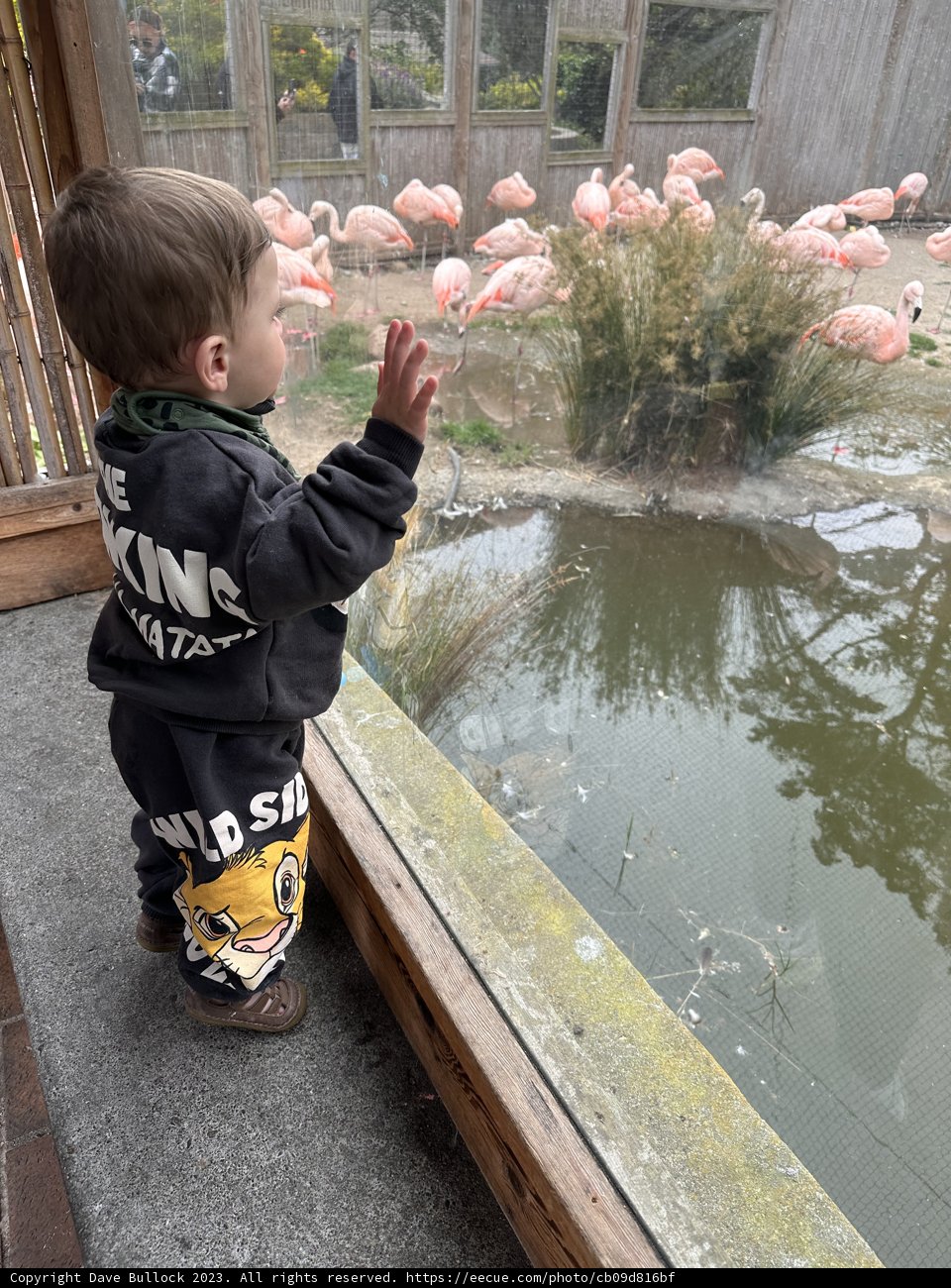 Exploring the Natural Wonders