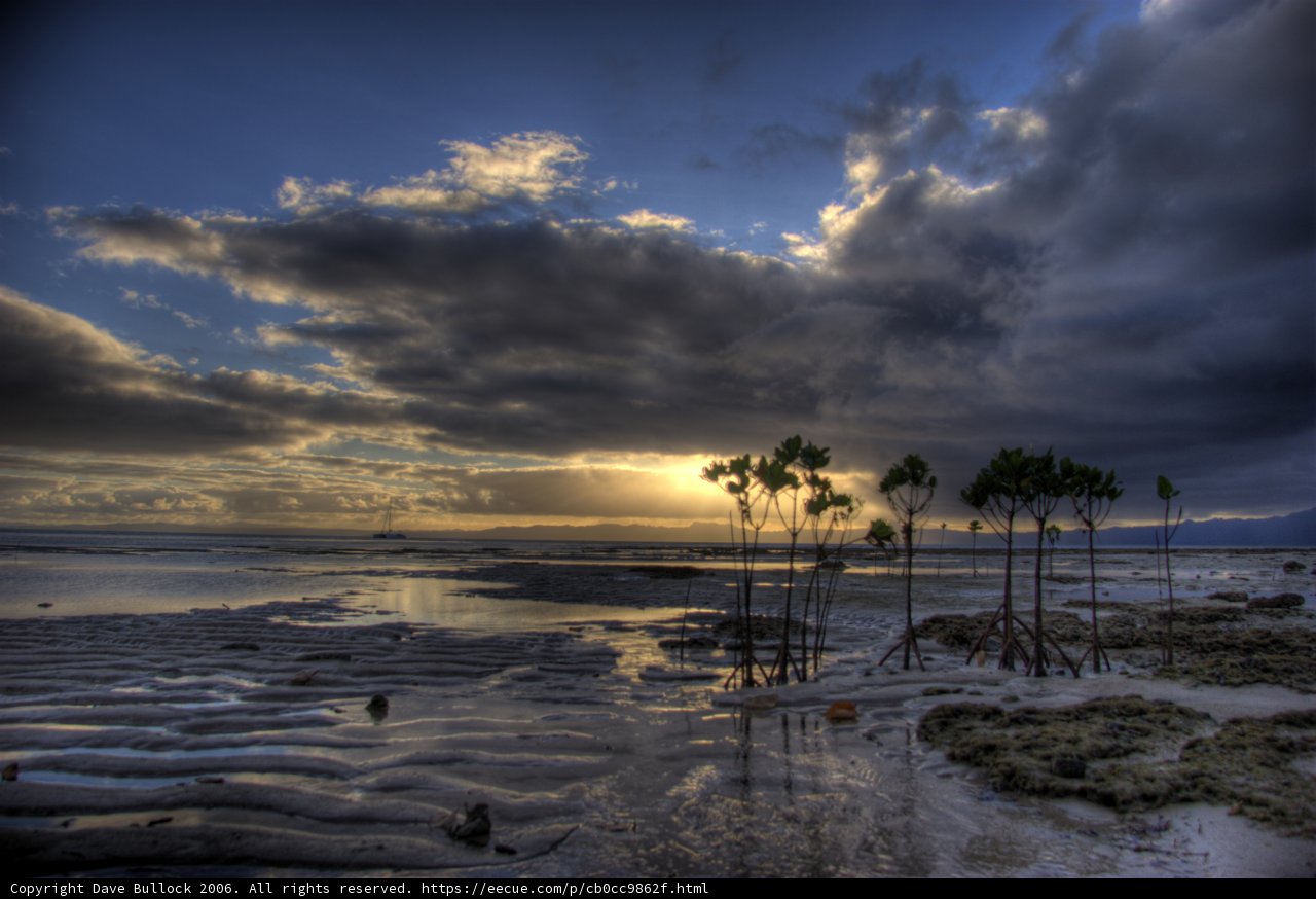 Serene Sunset at the Palm-Fringed Beach