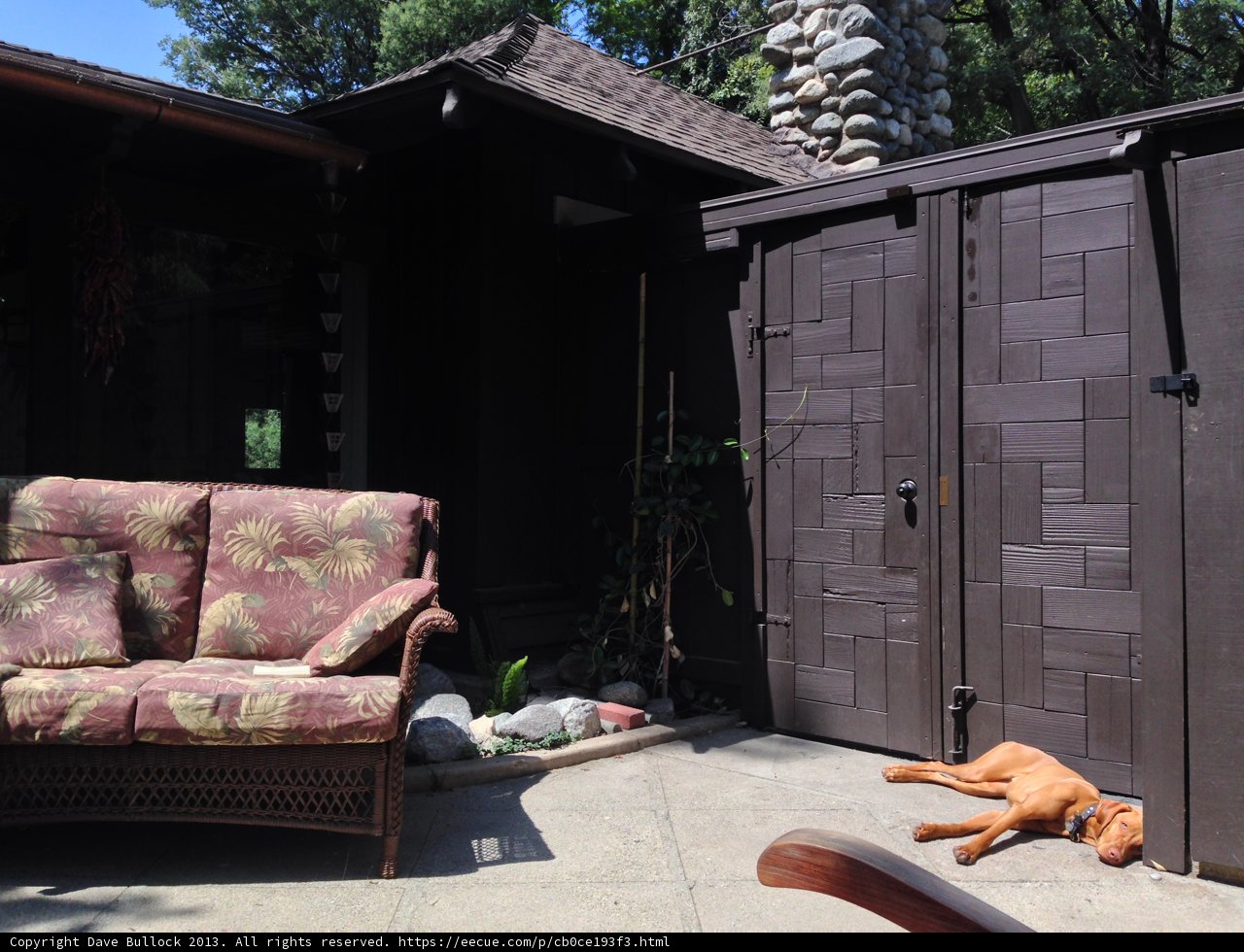 A Canine's Relaxing Day in Altadena