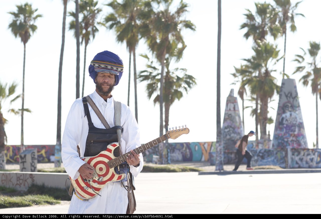 The Turbaned Guitarist