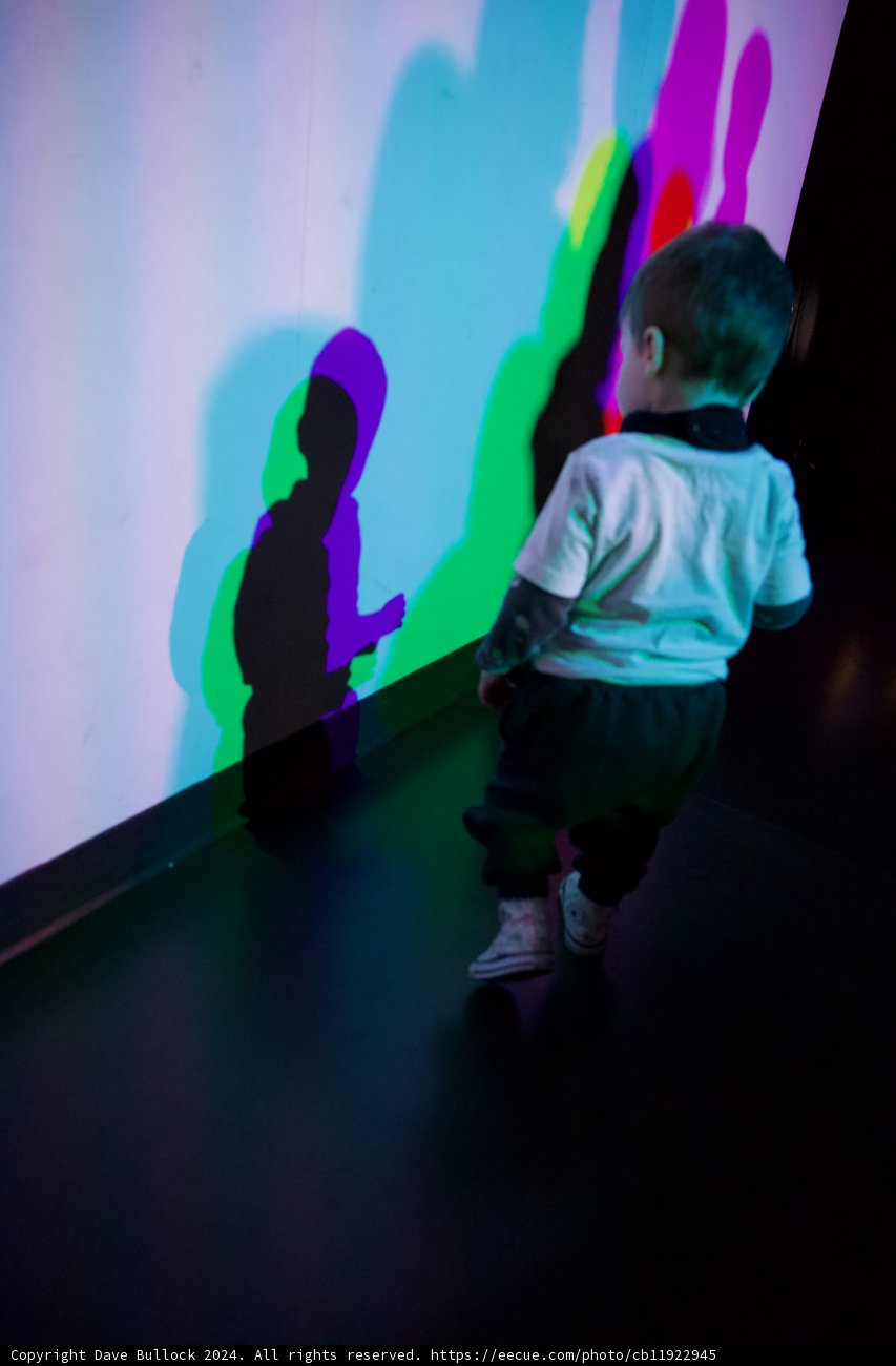 A Dance with Colors