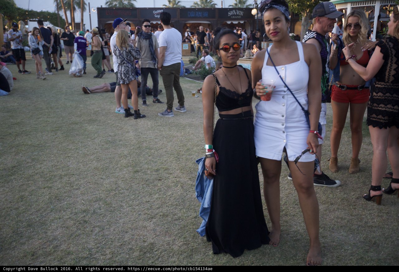Fabulous Friends at Coachella