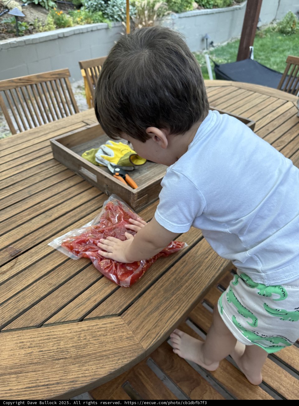 Summer Adventures on the Deck