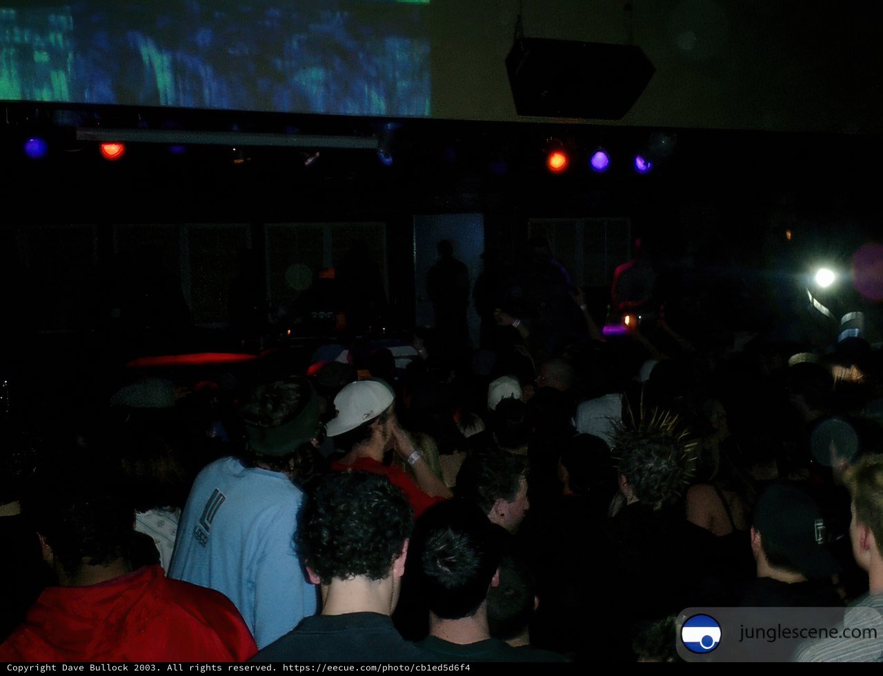 Nightclub Crowd Enjoying Concert with Projector Screen