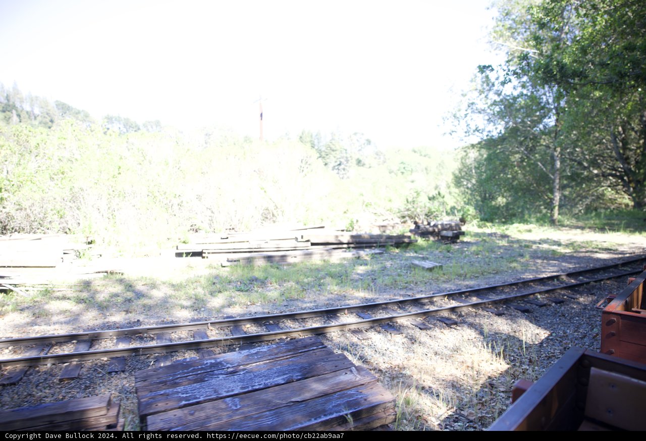 Serenity on the Tracks: A Morning at Tilden Steam Trains