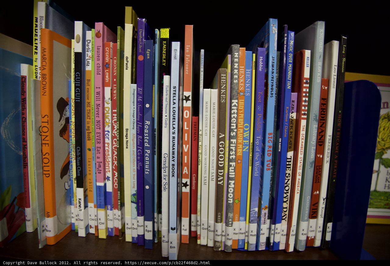 A Library on a Shelf
