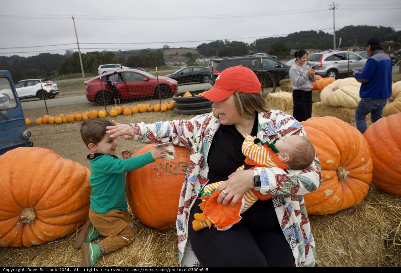 Harvest Memories at Walnut Creek