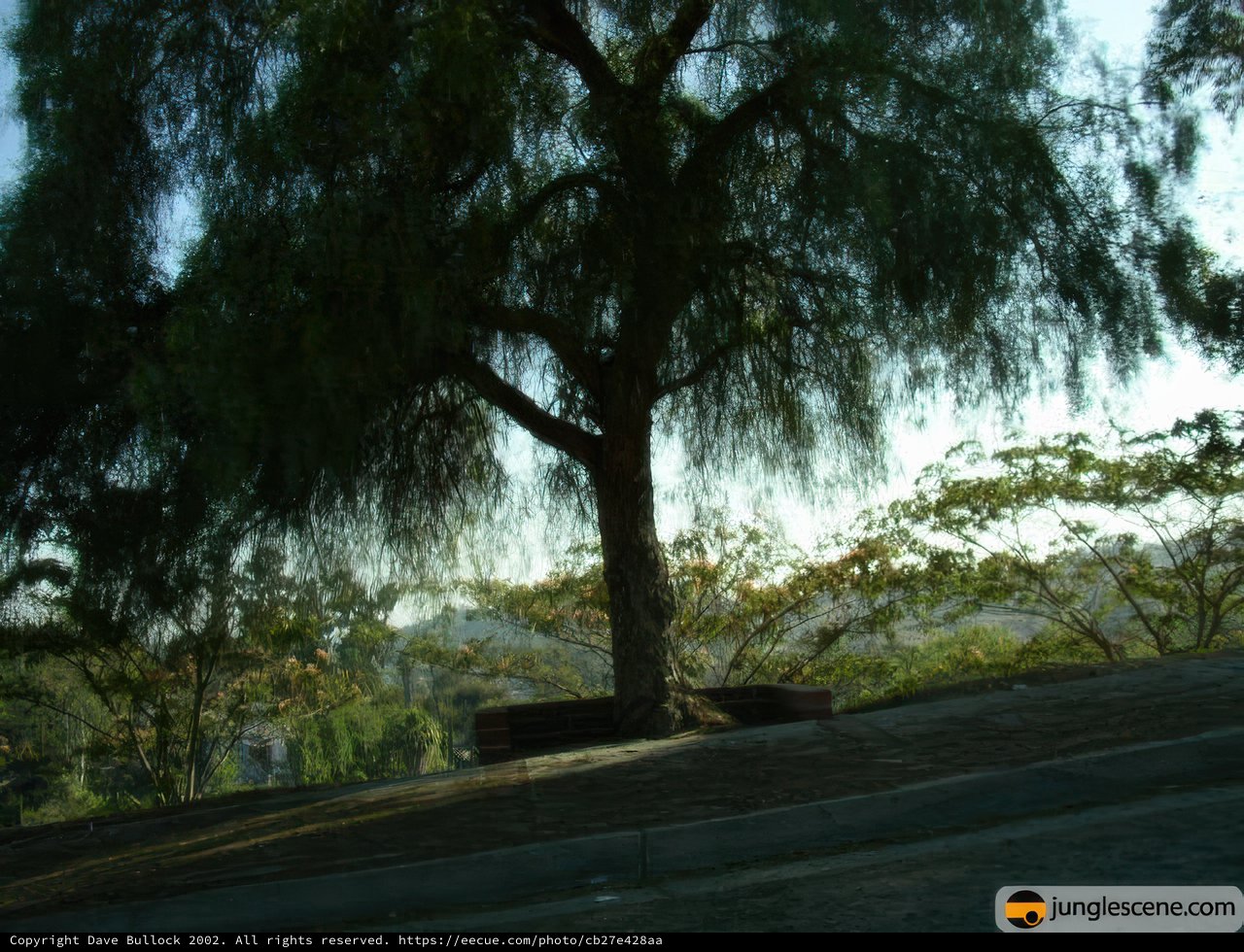 Roadside Retreat
