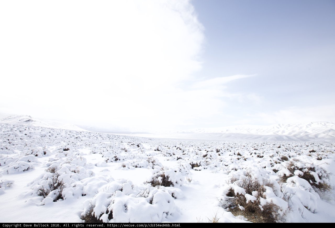 Frozen Tundra Paradise
