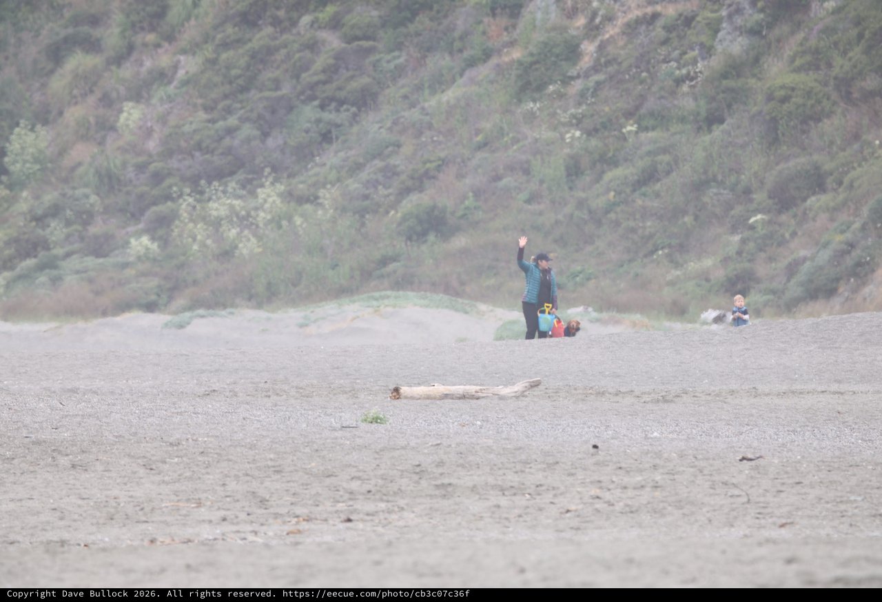 Family Waving Hello on a Misty Coastal Beach