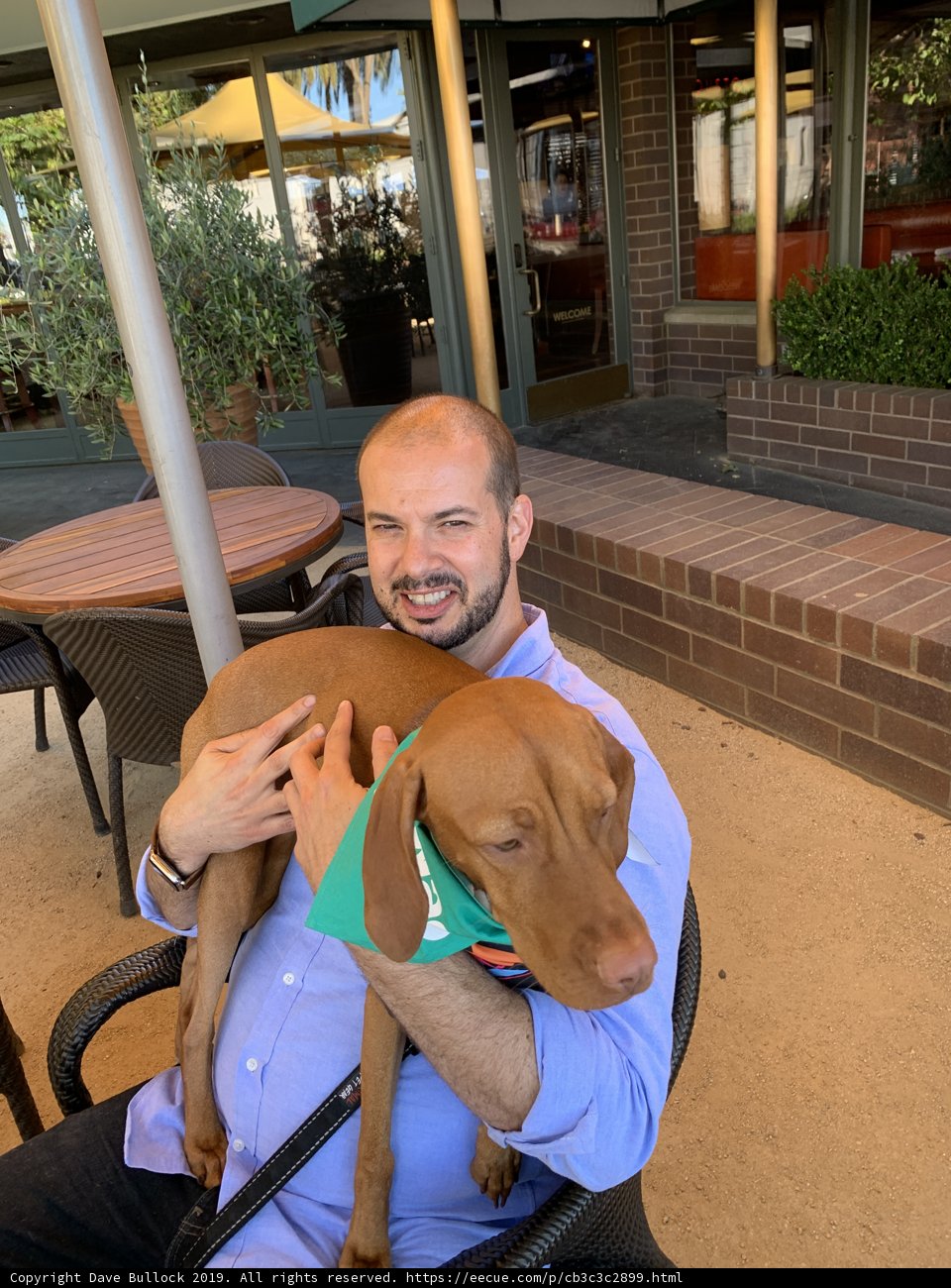 Man's Best Friend