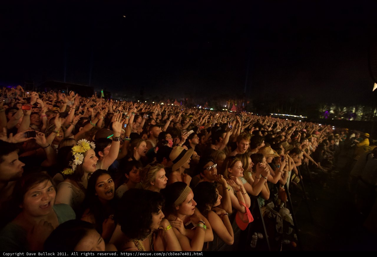 Coachella Concert- A Night to Remember