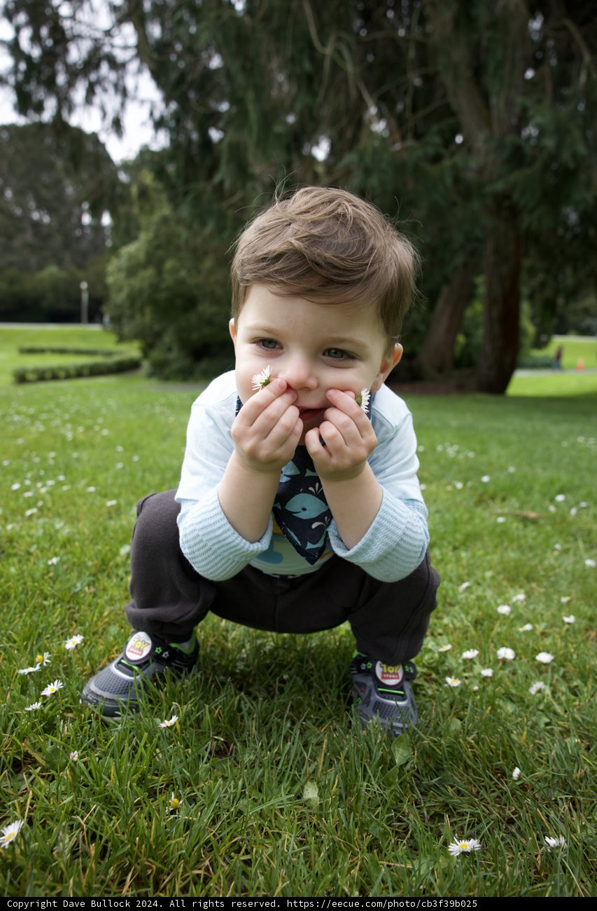 Nature's Picnic at Golden Gate Park