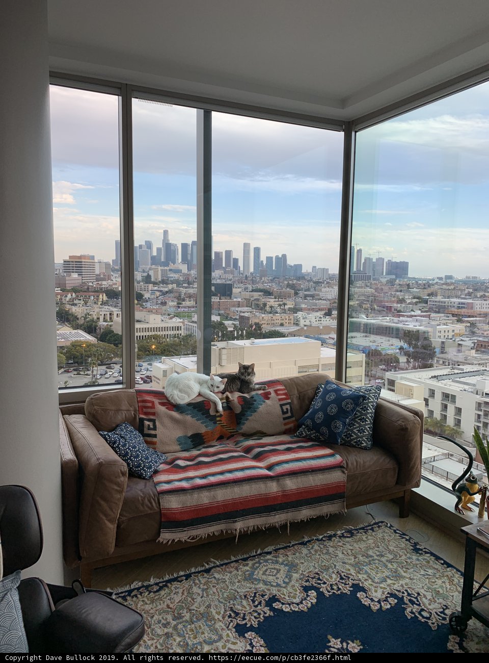 Cozy Couch in a Luxurious LA Penthouse