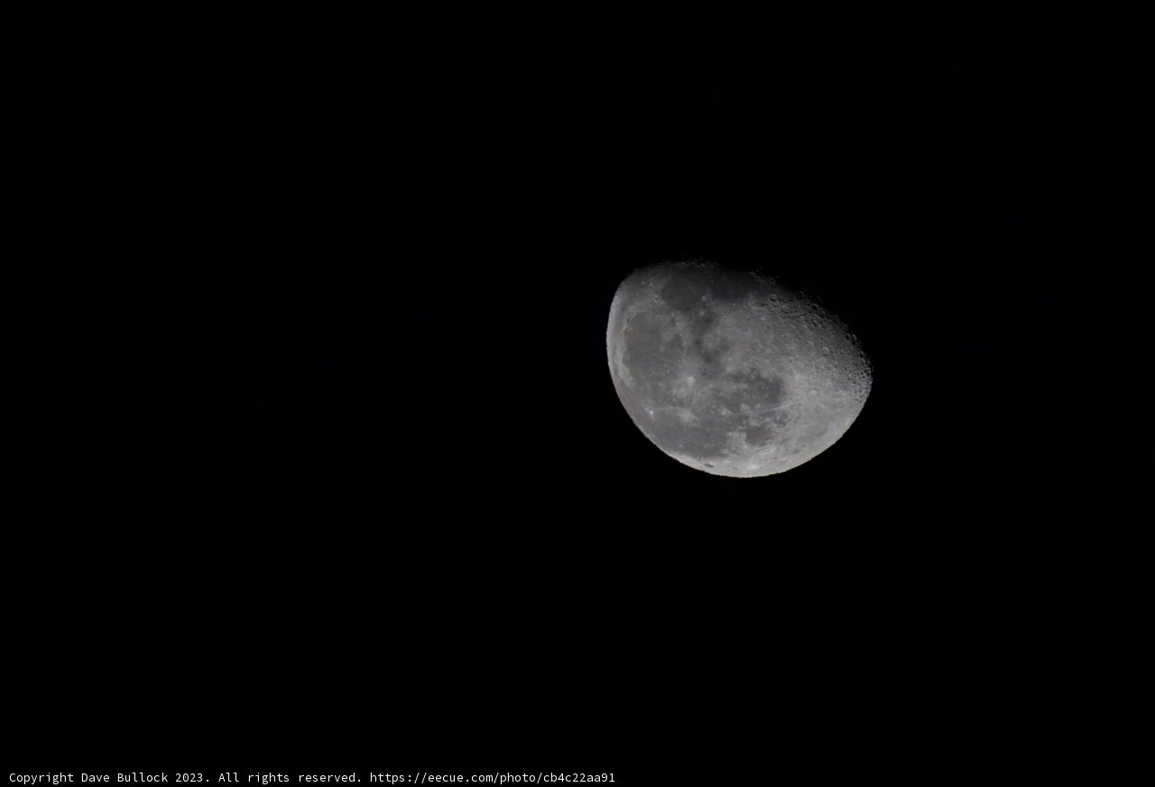 Moonlit Midnight Serenity