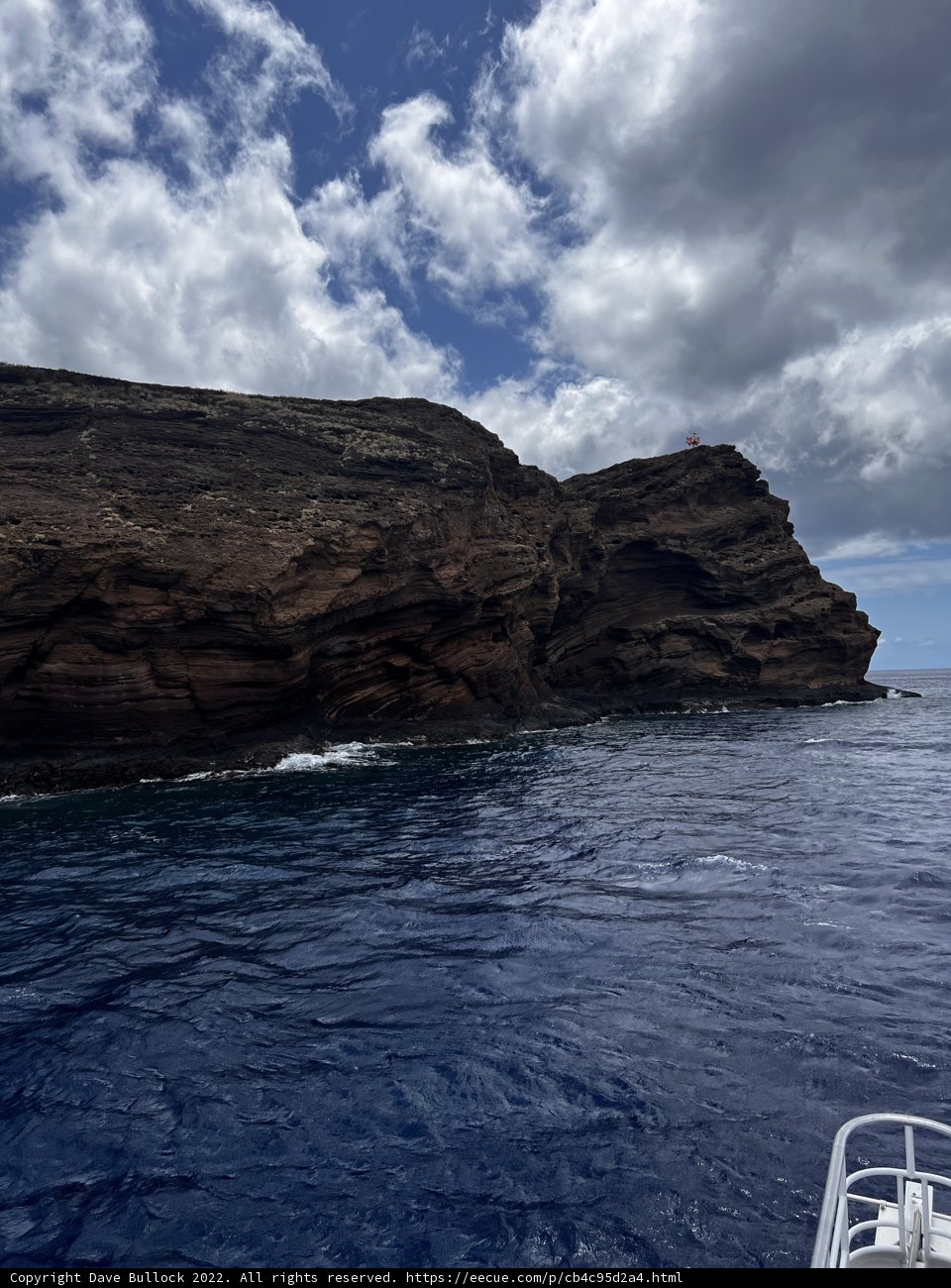Coastal Beauty