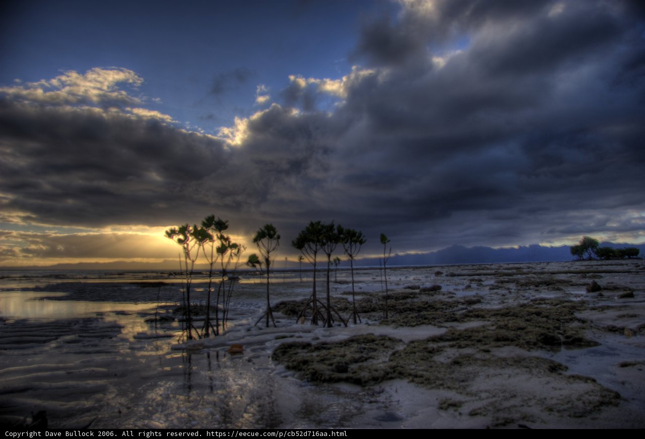 Moody Beach Skies