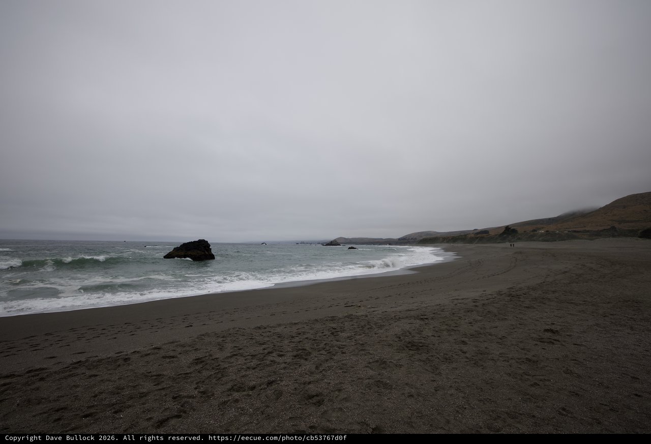Moody Coastal Wilderness on a Gray June Day