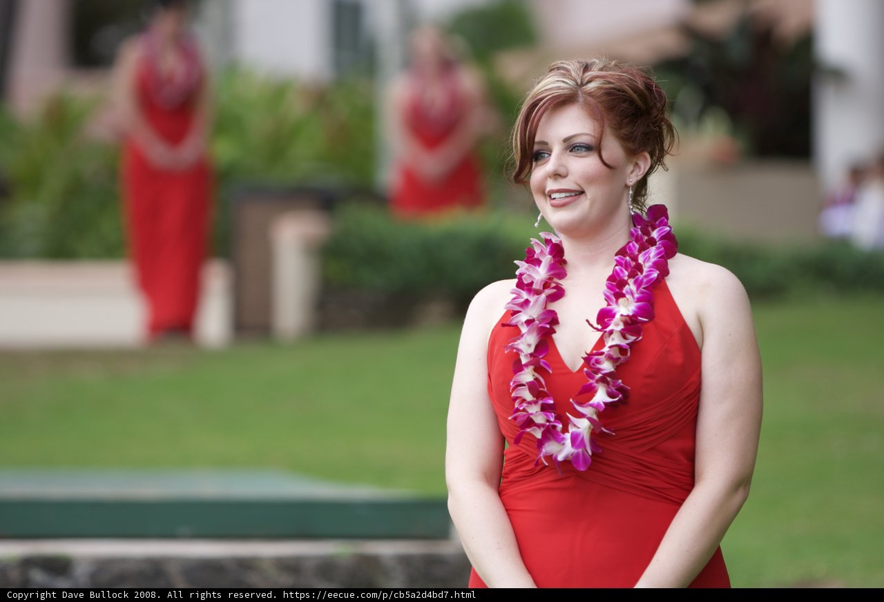 Hawaiian Beauty