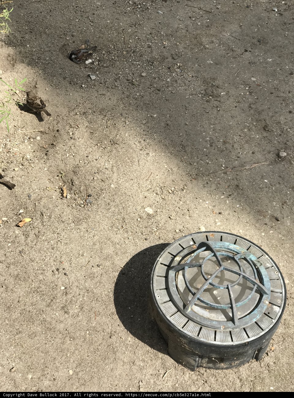 Urban Manhole Cover