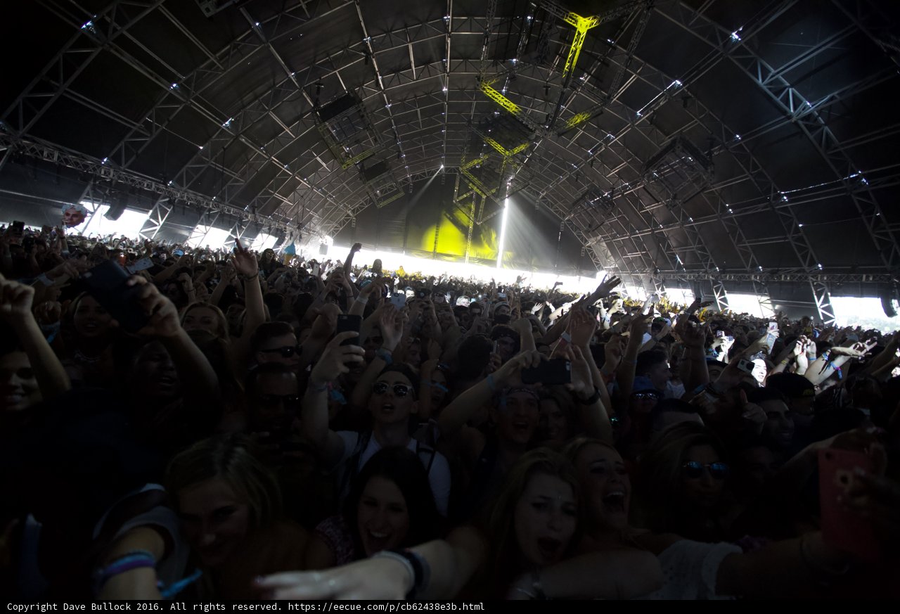 Rocking with the Crowd at Coachella