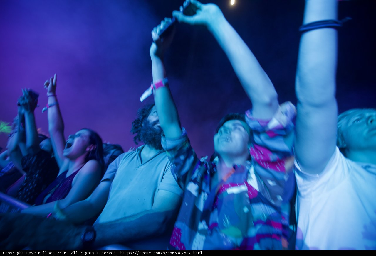 Hands Up at Coachella