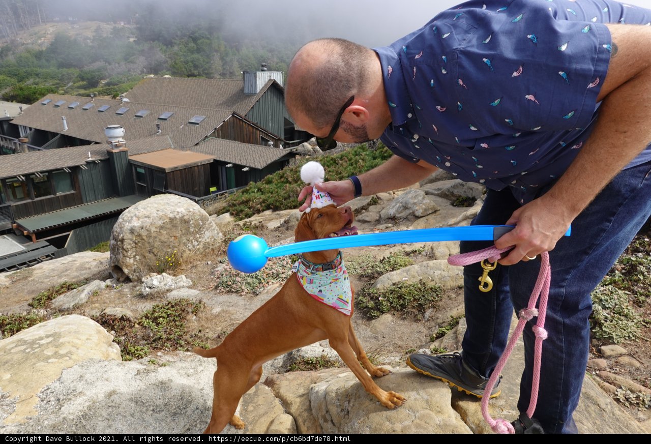Man's Best Friend on the Rock