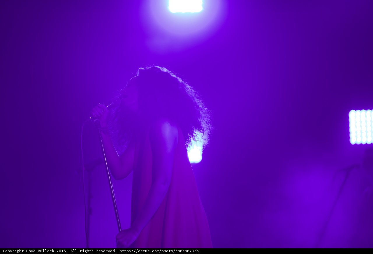 Florence Welch Head Tilted Back Singing Purple
