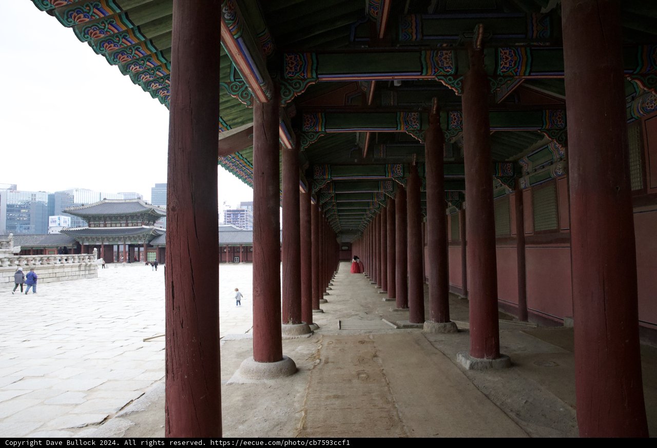 Columned Pathway: The Intersection of History and Architecture