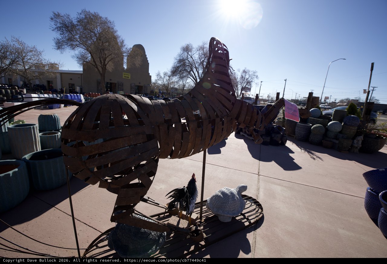 Rustic Metal Rooster Sculpture in Southwest Garden Center