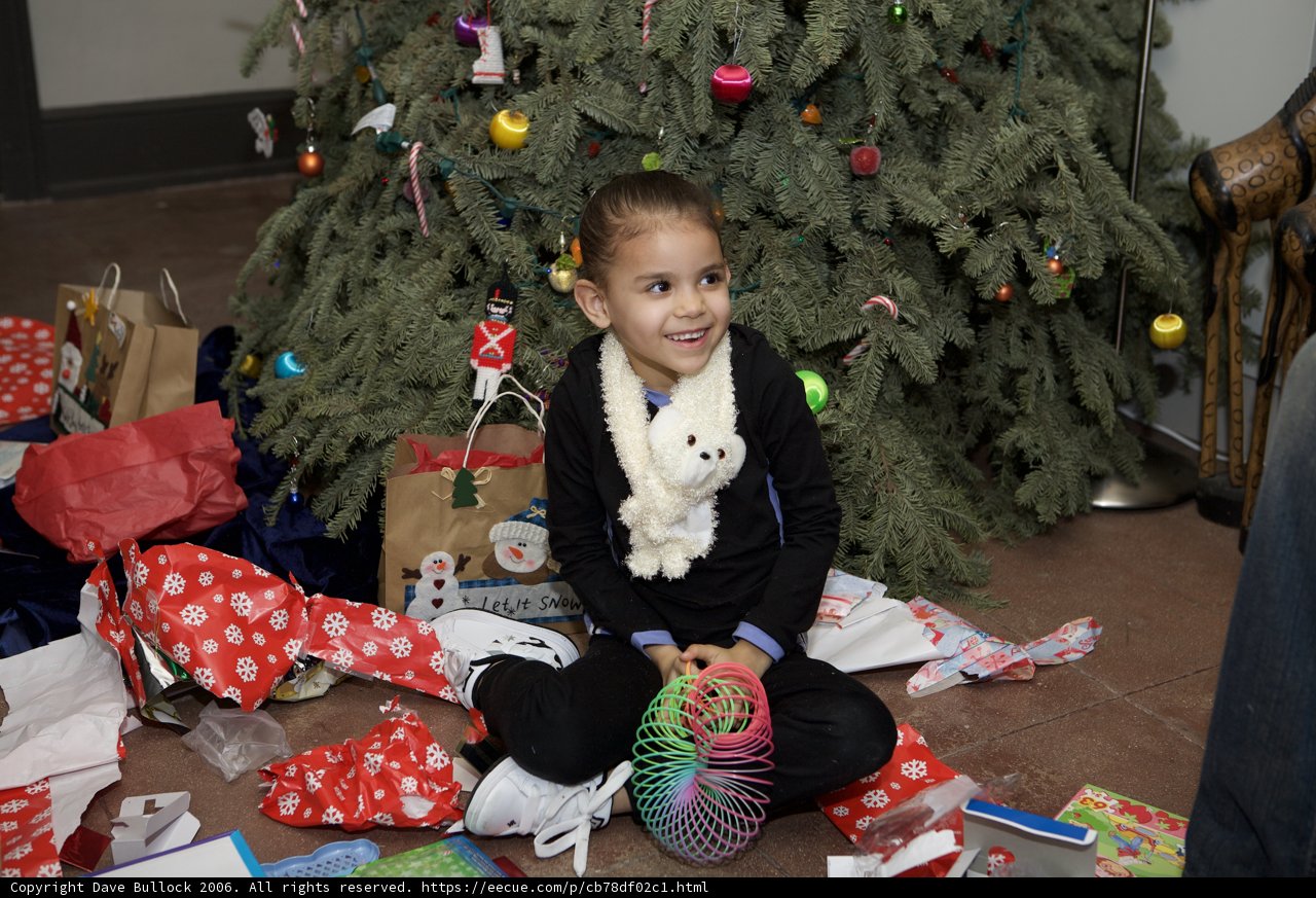 Christmas Joy with Skyela B