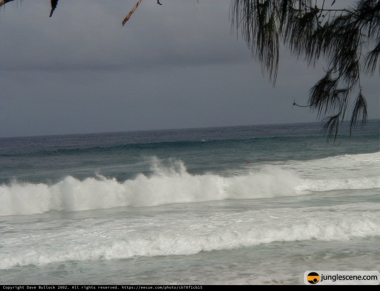 Riding the Waves